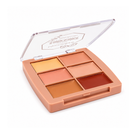 Paleta Correctora Profesional de 6 Tonos