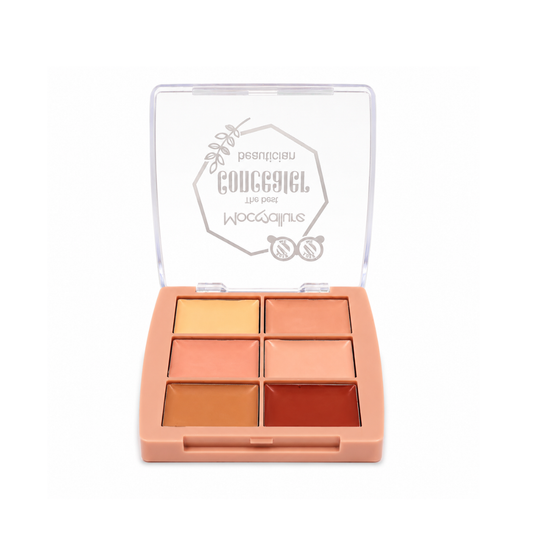 Paleta Correctora Profesional de 6 Tonos